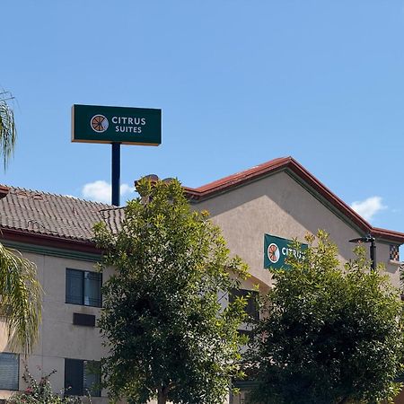 Citrus Suites Redlands Loma Linda Hotel Eksteriør bilde