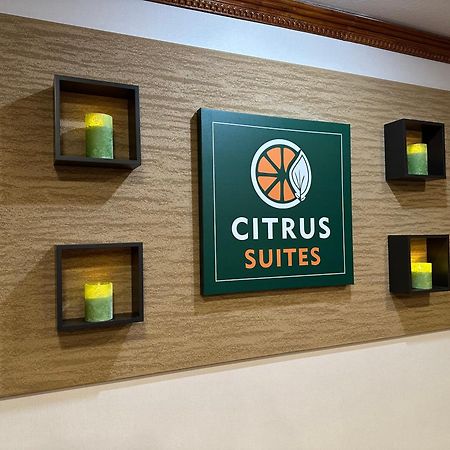 Citrus Suites Redlands Loma Linda Hotel Eksteriør bilde
